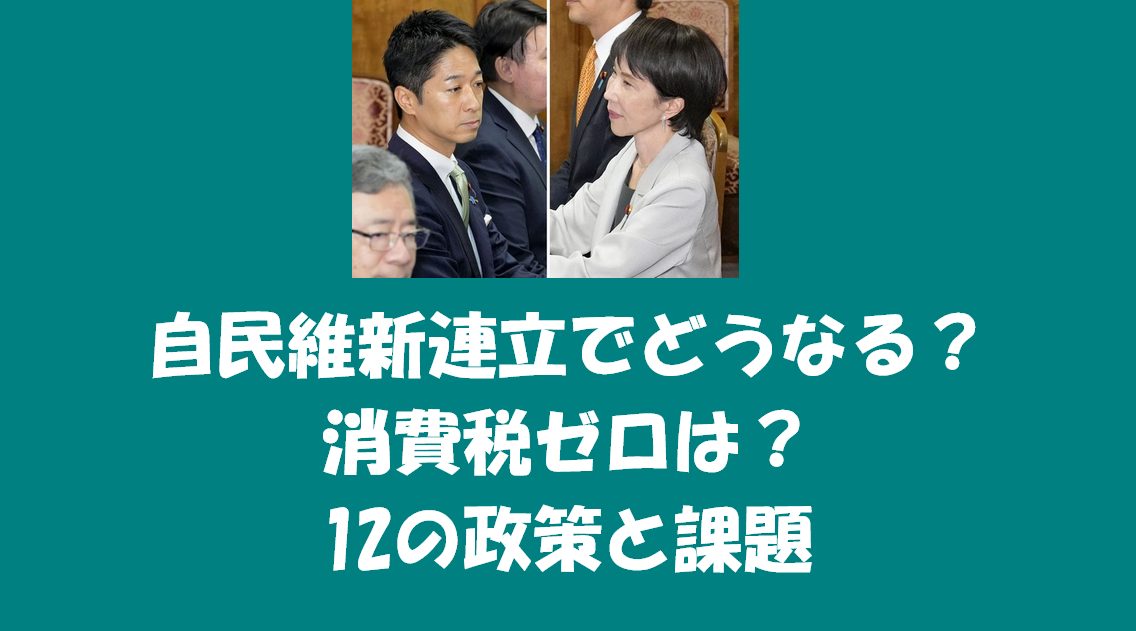 自民維新連立でどうなる？消費税ゼロは？12の政策と課題
